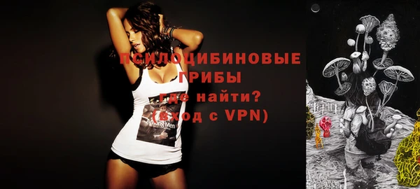 эйфоретик Алзамай