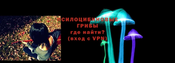 эйфоретик Алзамай
