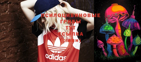 эйфоретик Алзамай