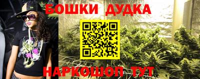 стафф Заволжье