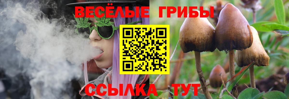 Псилоцибиновые грибы Cubensis Менделеевск