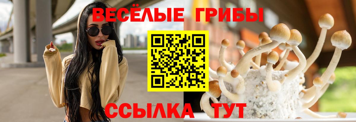 Псилоцибиновые грибы Psilocybine cubensis  Вход с VPN  Псилоцибиновые грибы Psilocybe  Менделеевск 